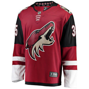 Darcy Kuemper Arizona Coyotes Player Swingman Jersey
