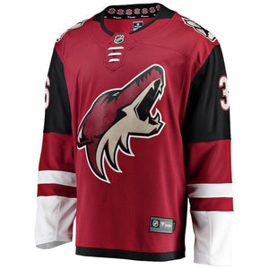 Christian Fischer Arizona Coyotes Player Swingman Jersey