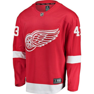 Darren Helm Detroit Red Wings Player Swingman Jersey