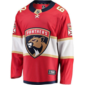 Denis Malgin Florida Panthers Player Swingman Jersey